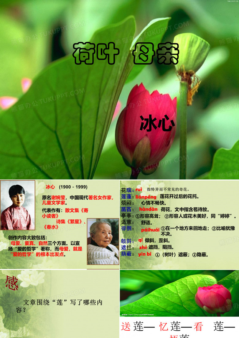 《荷叶母亲》