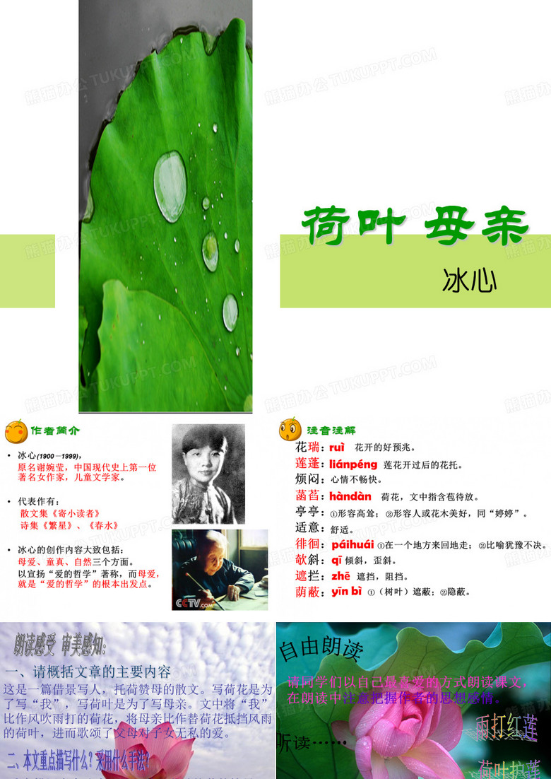 荷叶母亲