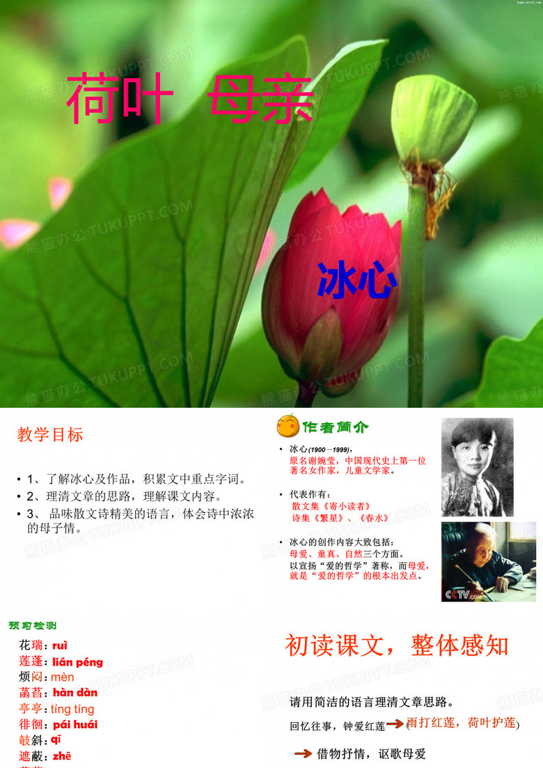 荷叶母亲