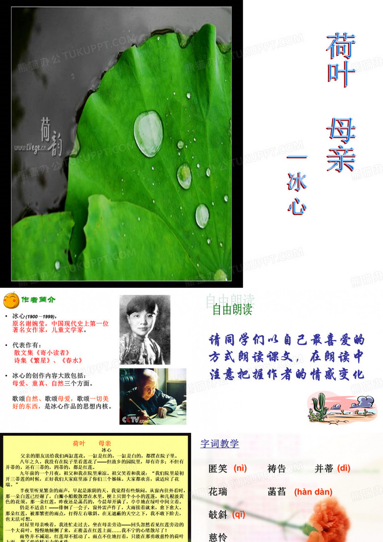荷叶母亲