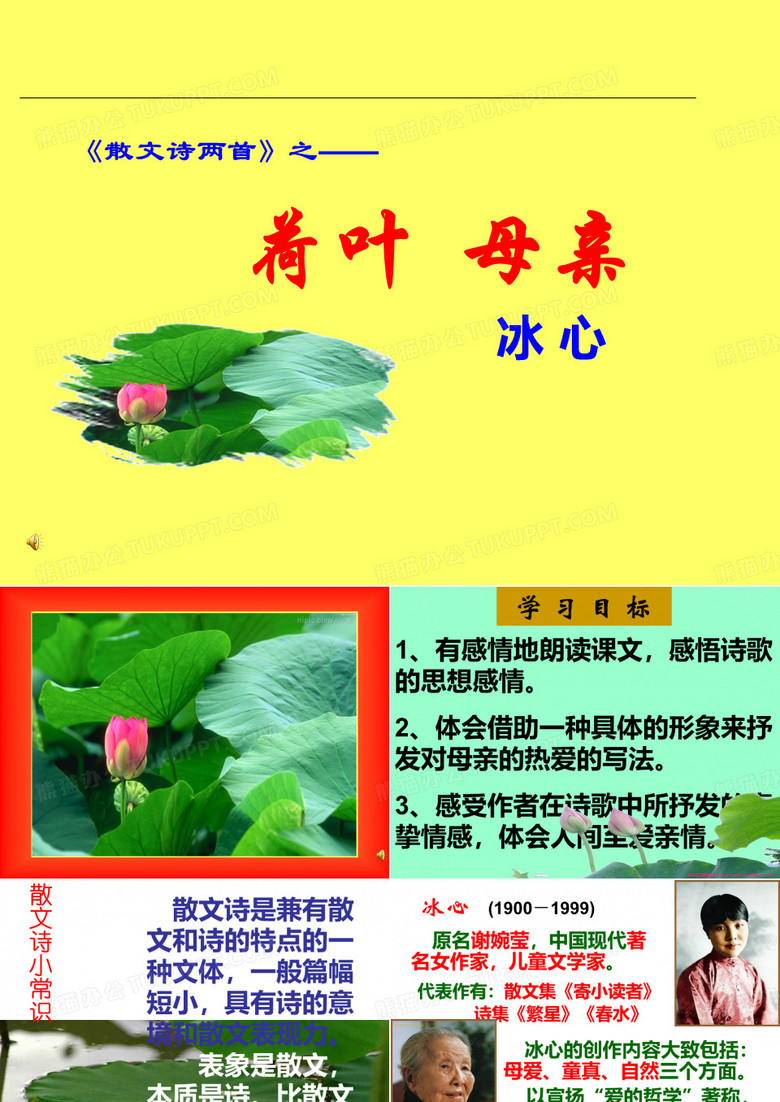 荷叶·母亲
