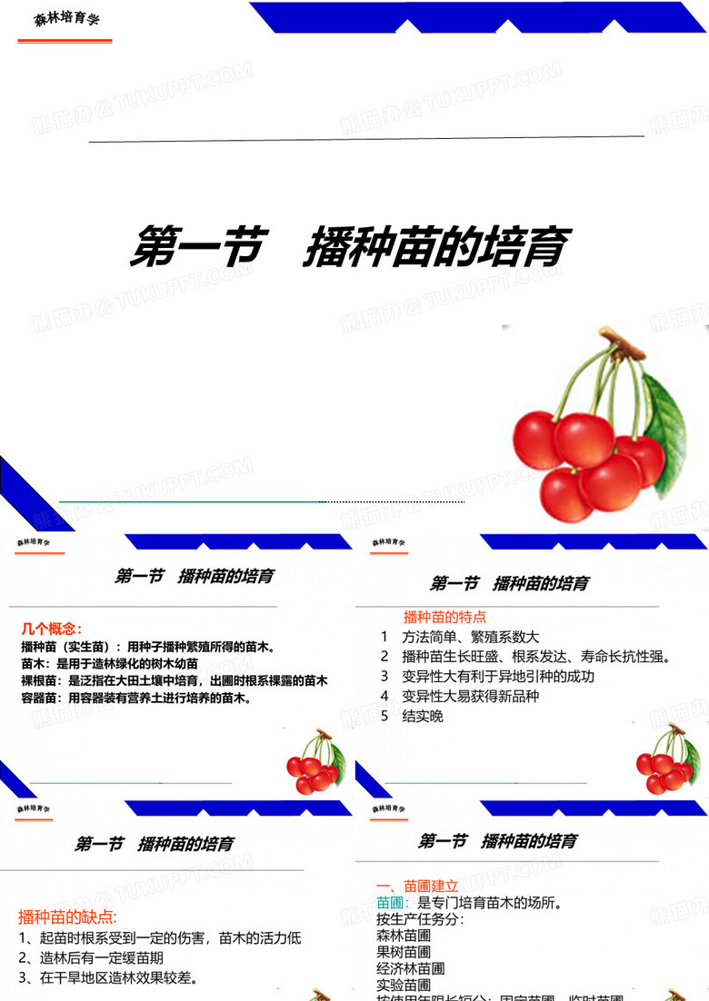 播种育苗