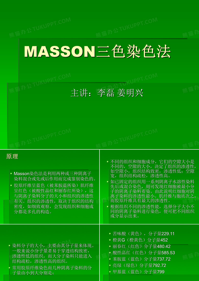 MASSON三色染色法