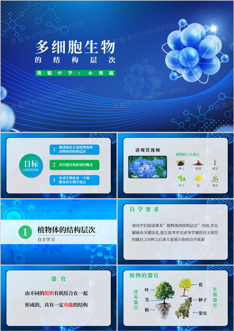 蓝色简约结构层次医学护理PPT模板
