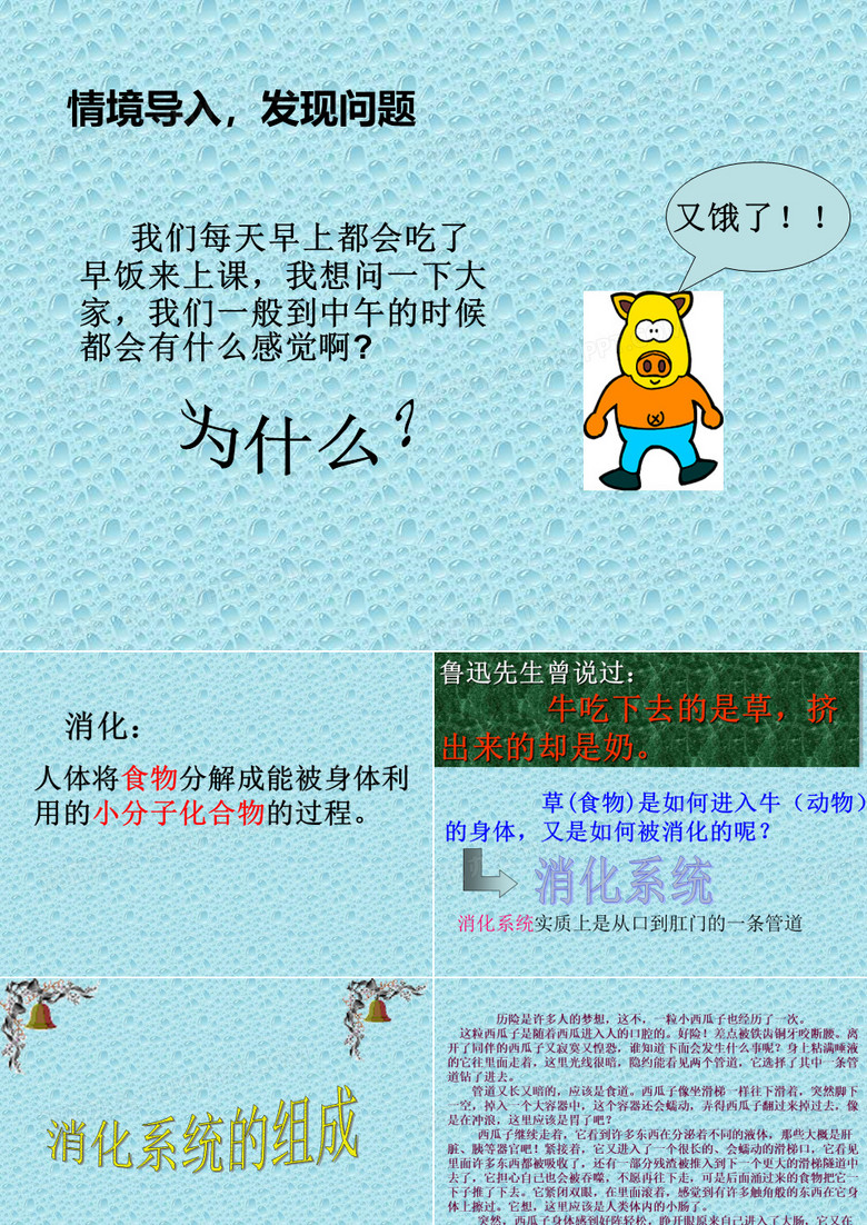 消化及消化系统PPT课件