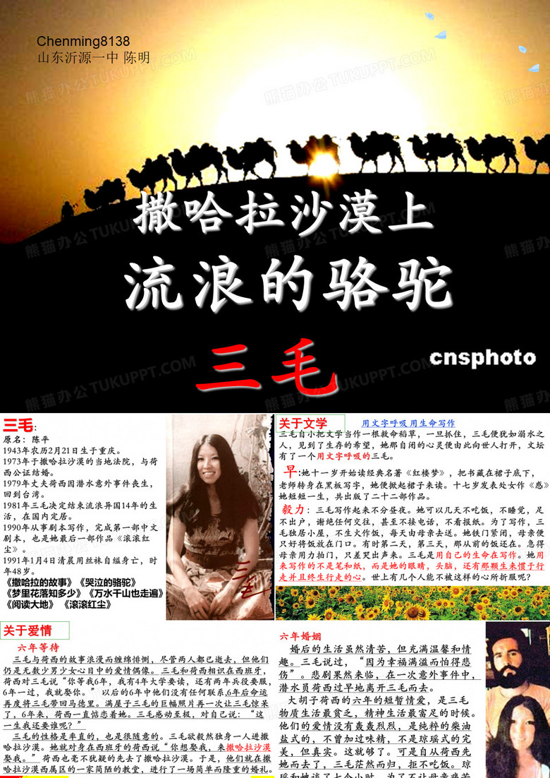 撒哈拉沙漠上流浪的骆驼——三毛ppt