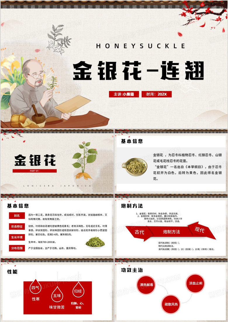中国风金银花中医药植物介绍PPT模板