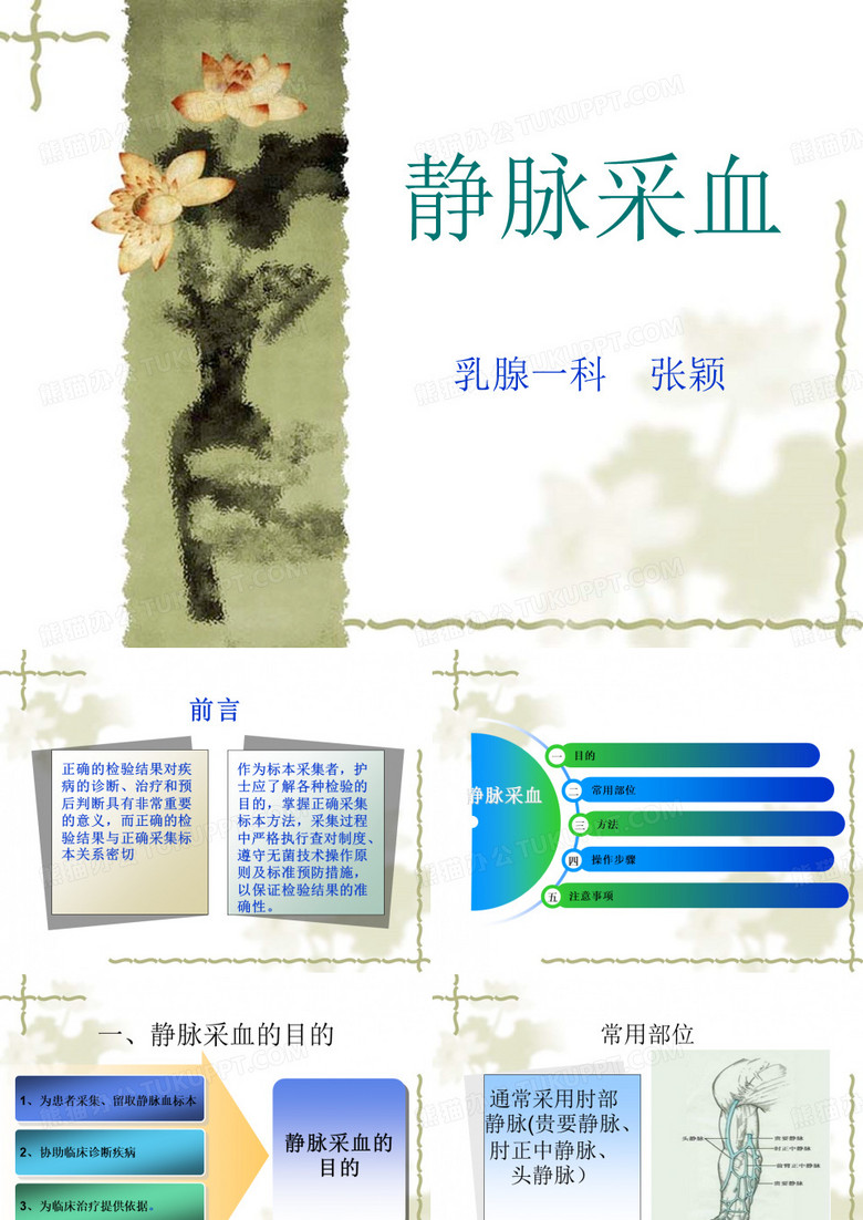 静脉采血.ppt