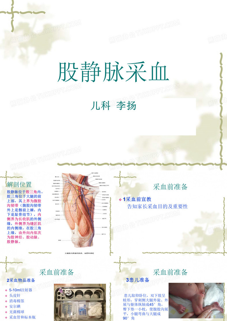 股静脉采血