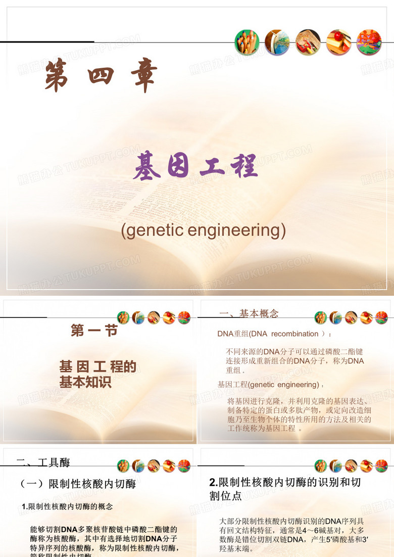 基因工程