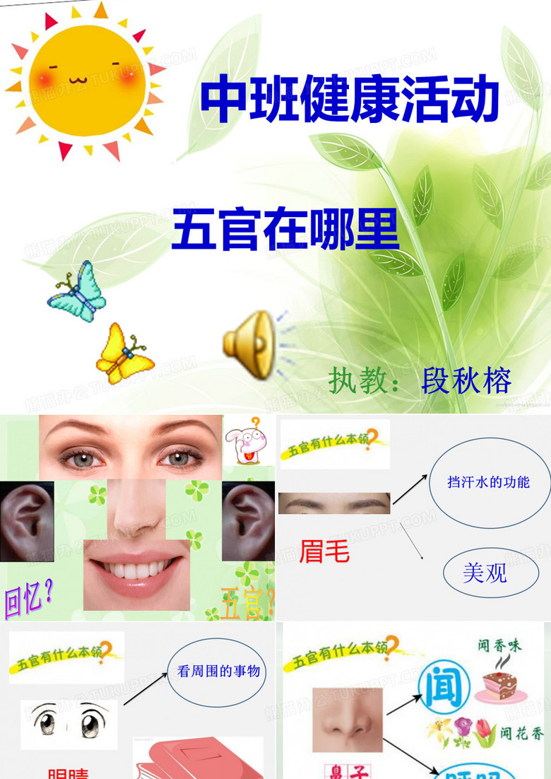 五官在哪里