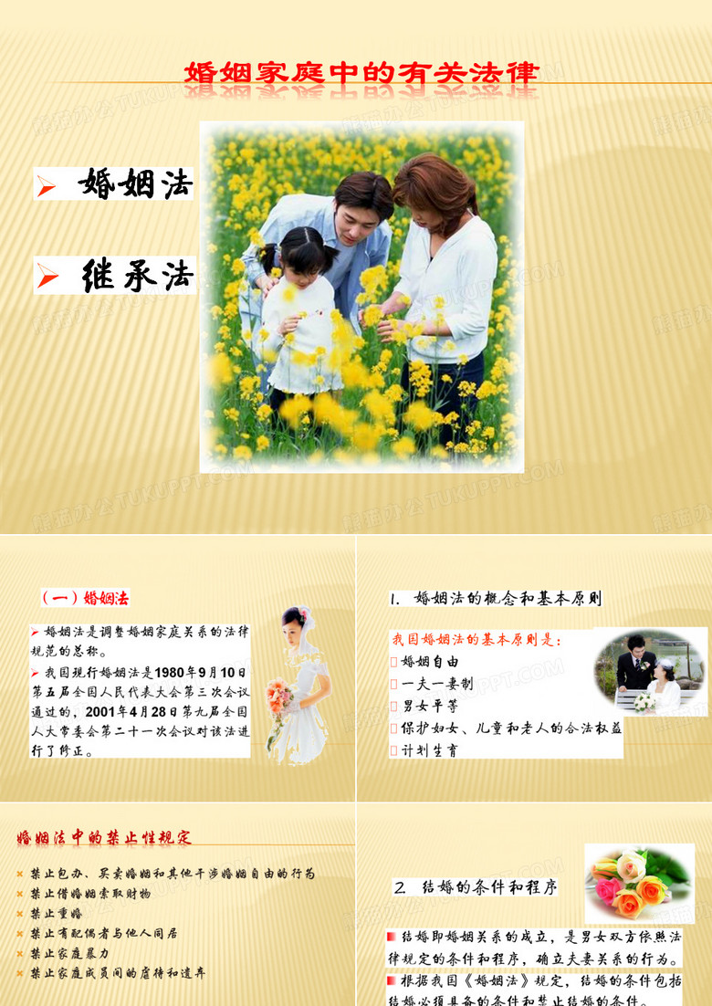 婚姻法与继承法