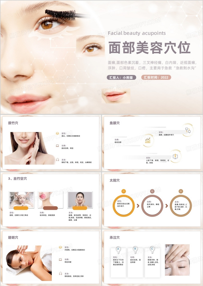 简约面部美容穴位PPT模板