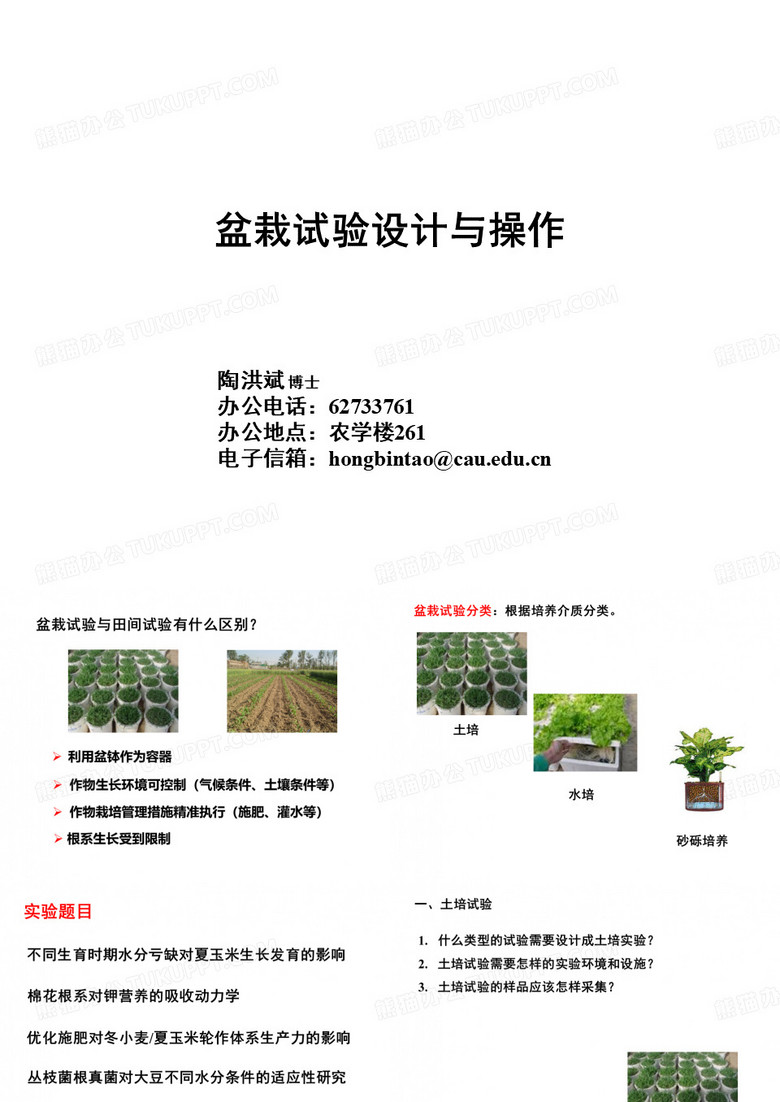 盆栽试验