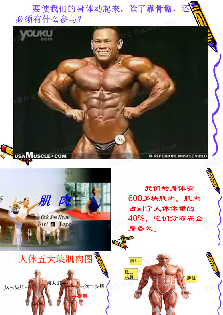 肌肉