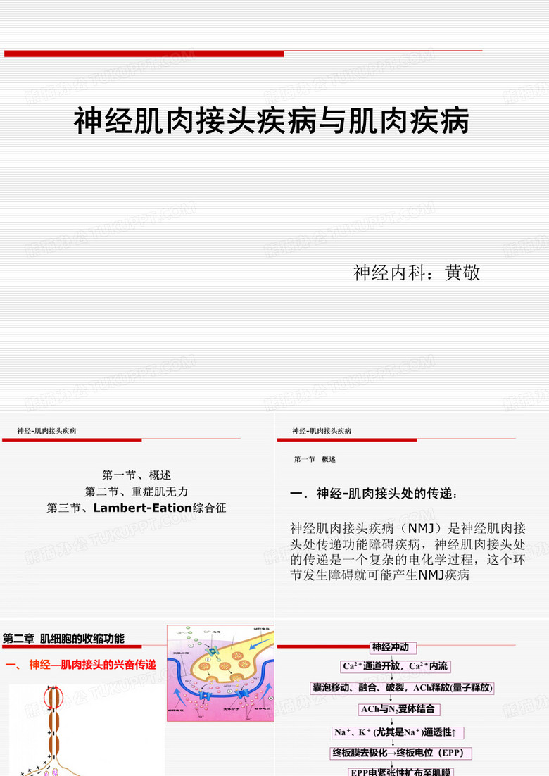 神经肌肉接头疾病与肌肉疾病