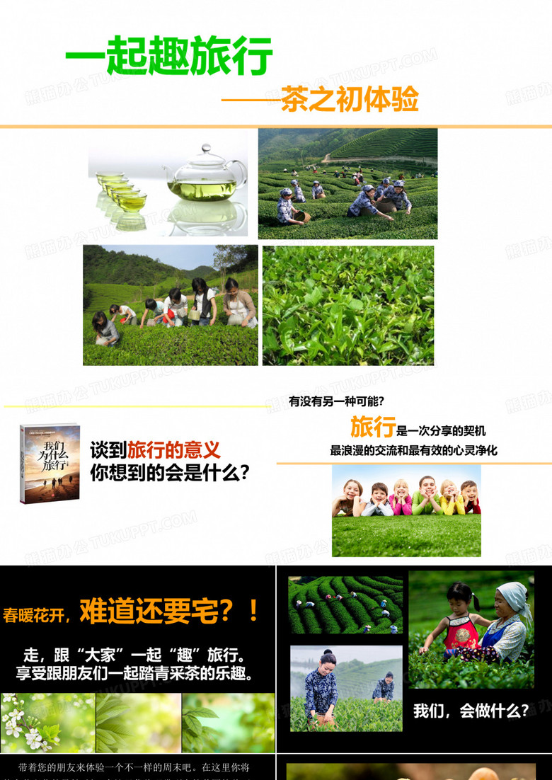 采茶方案