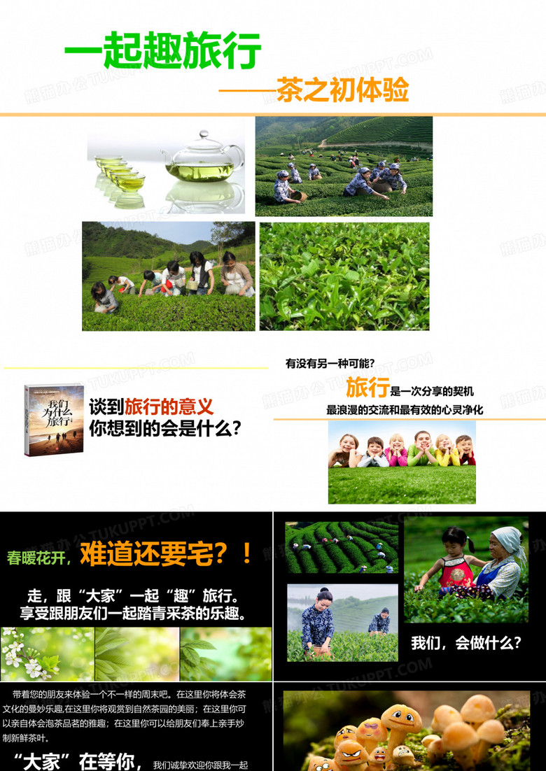 采茶活动的方案