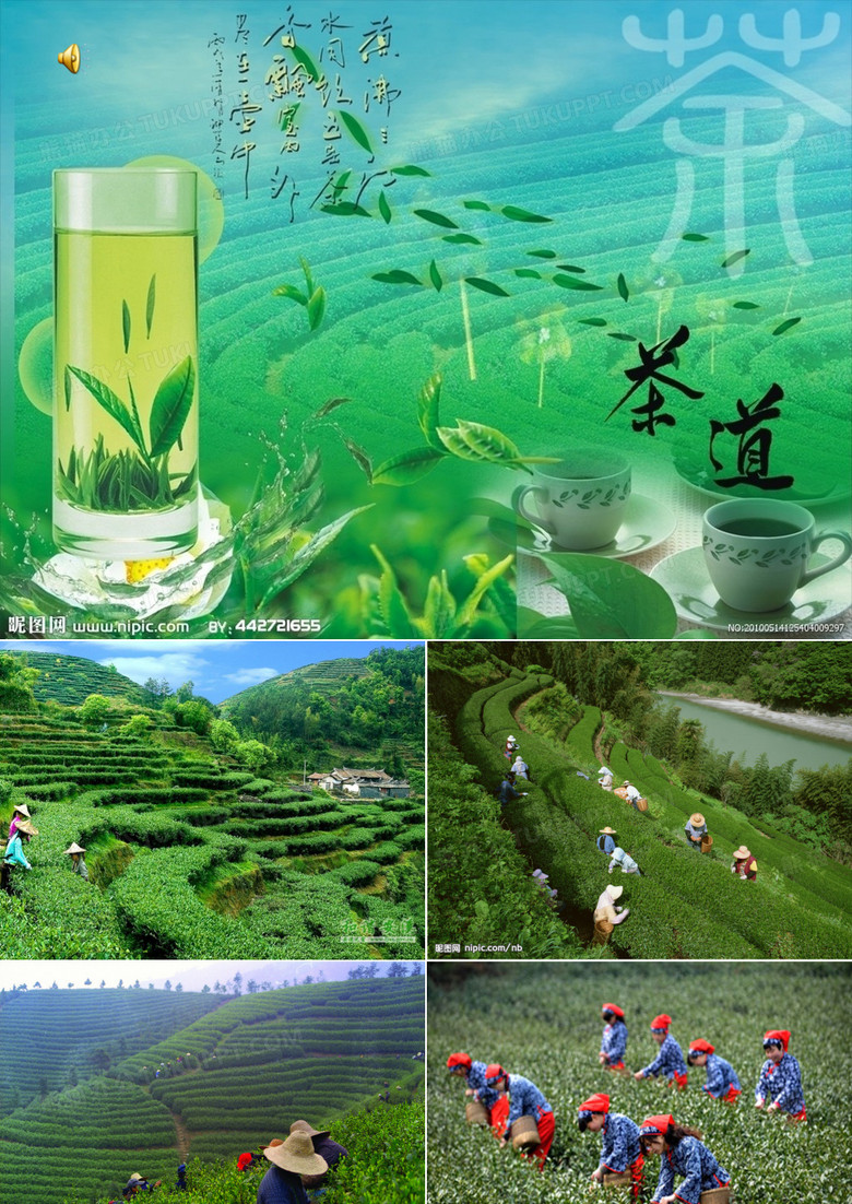 少先队员采茶歌