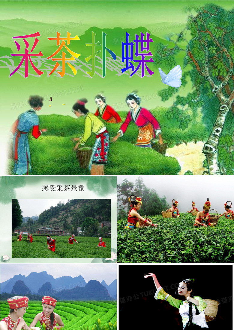 《采茶扑蝶》课件