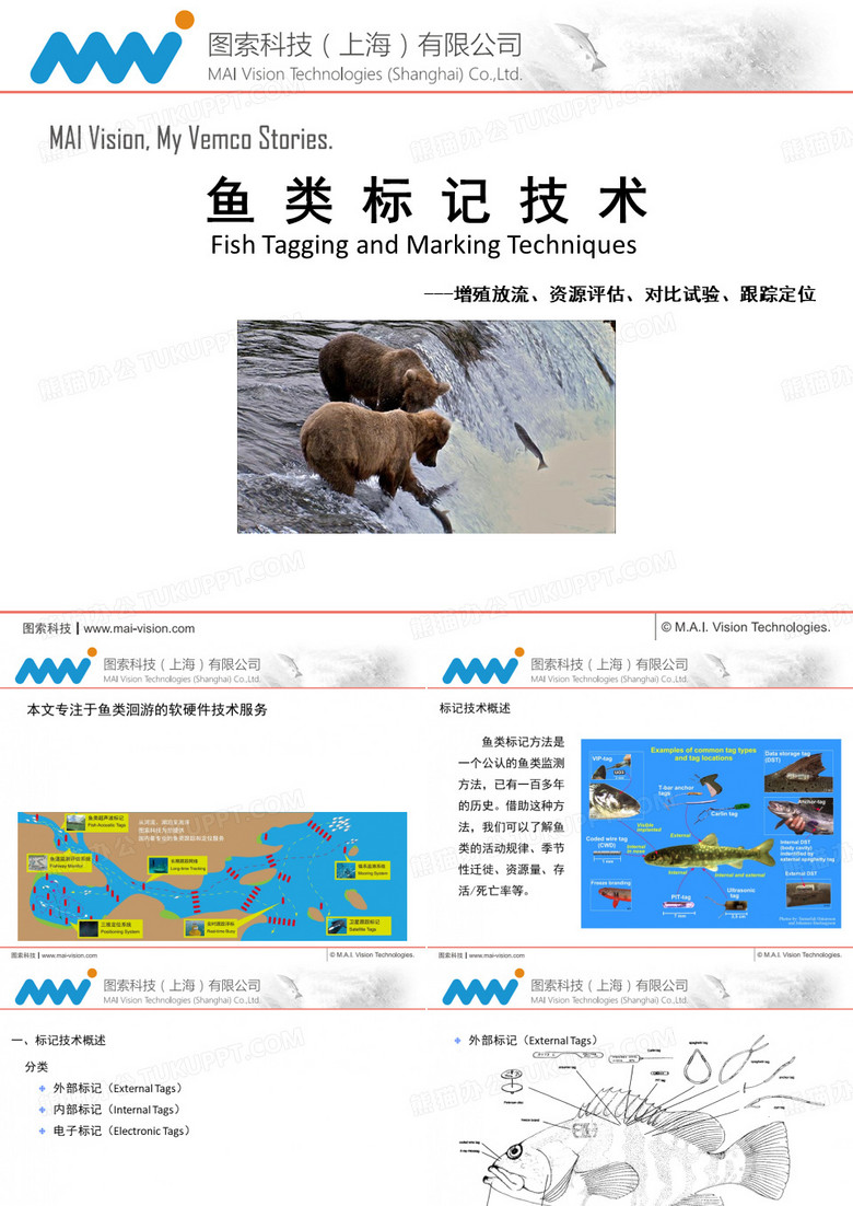 鱼类标记鱼类标签