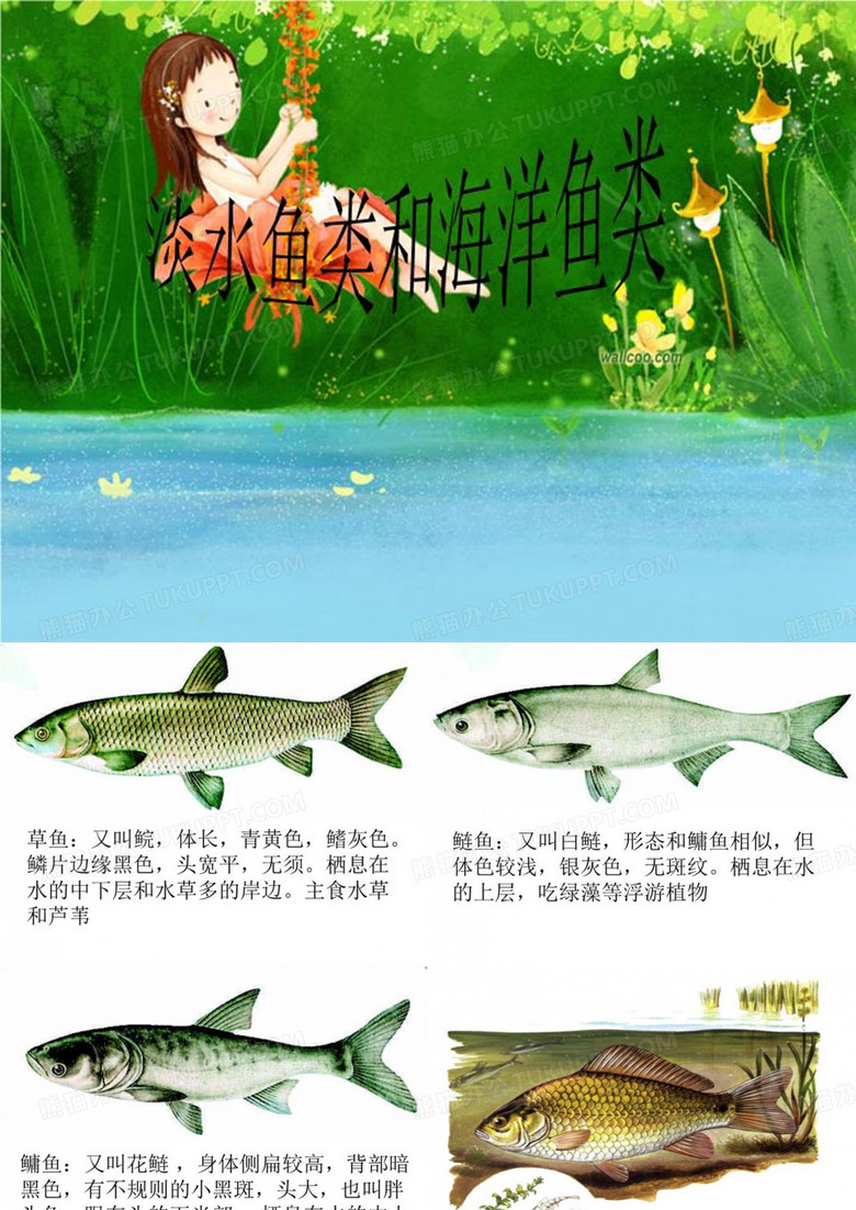淡水鱼类和海洋鱼类