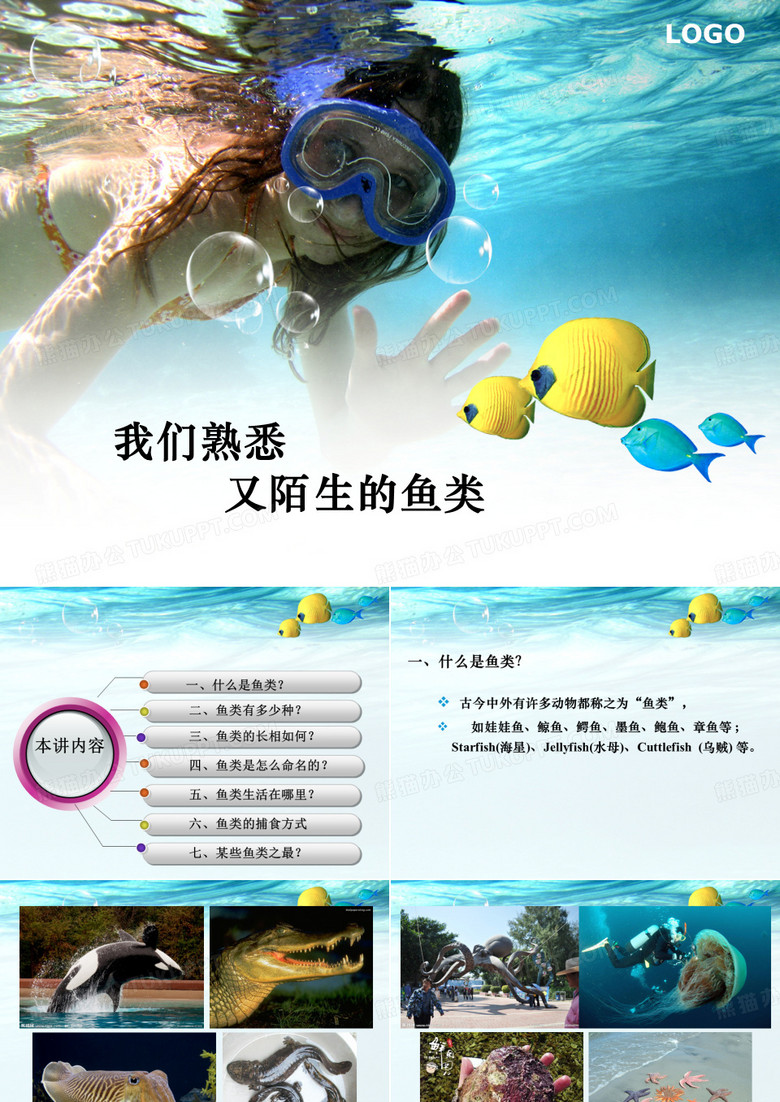 鱼类知识