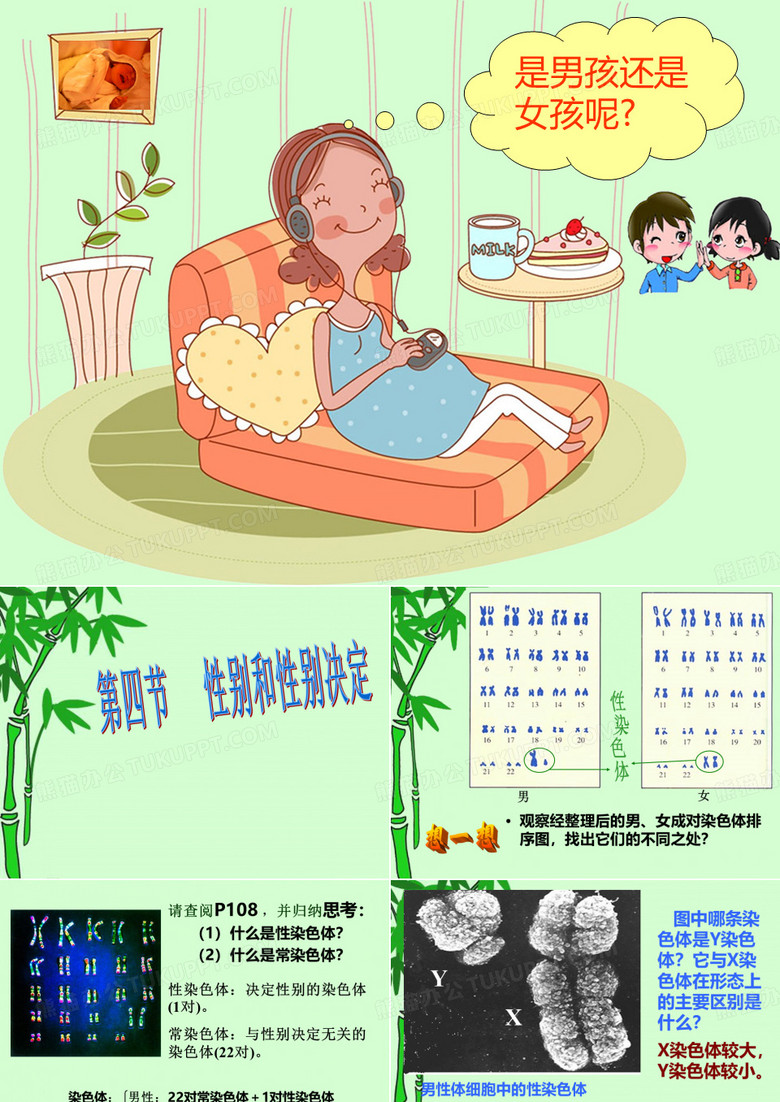 性别和性别决定
