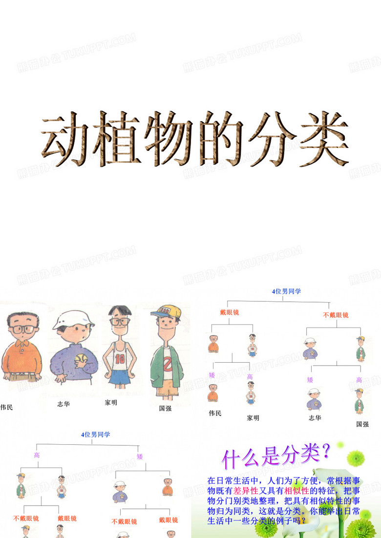 动植物的分类