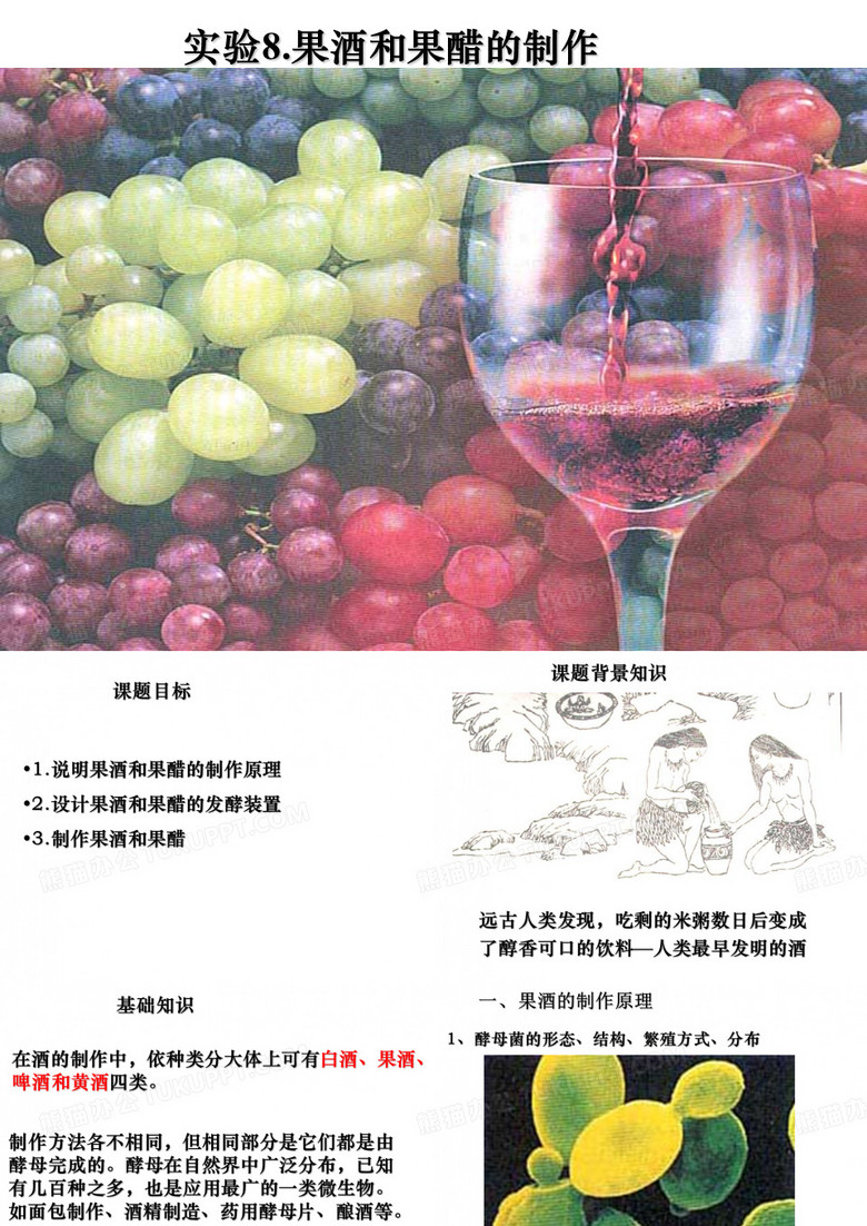 果酒果醋的制作