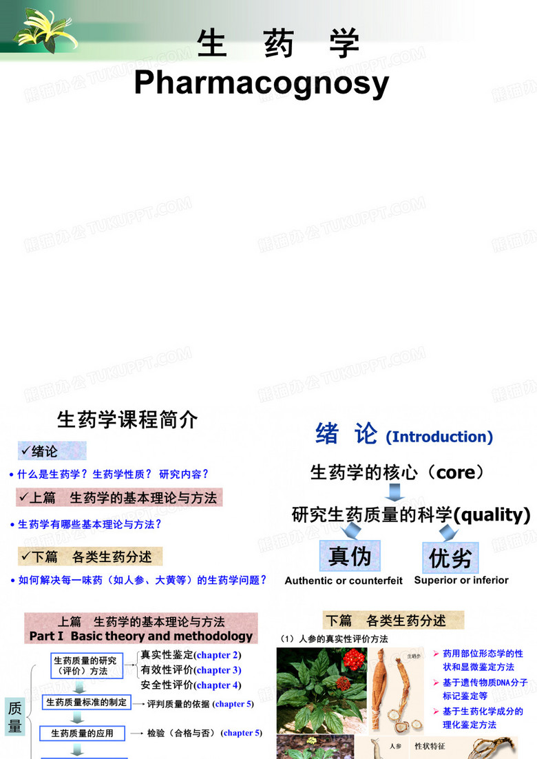 生药学总论课件   1-生药学绪论