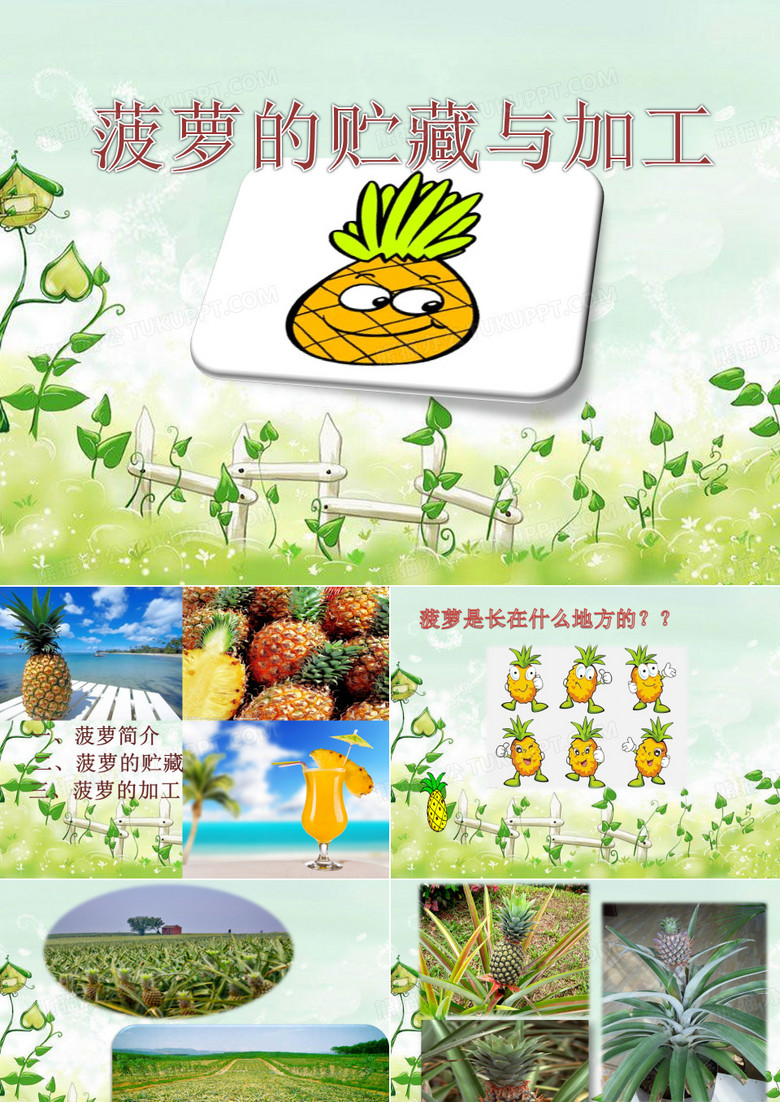 菠萝