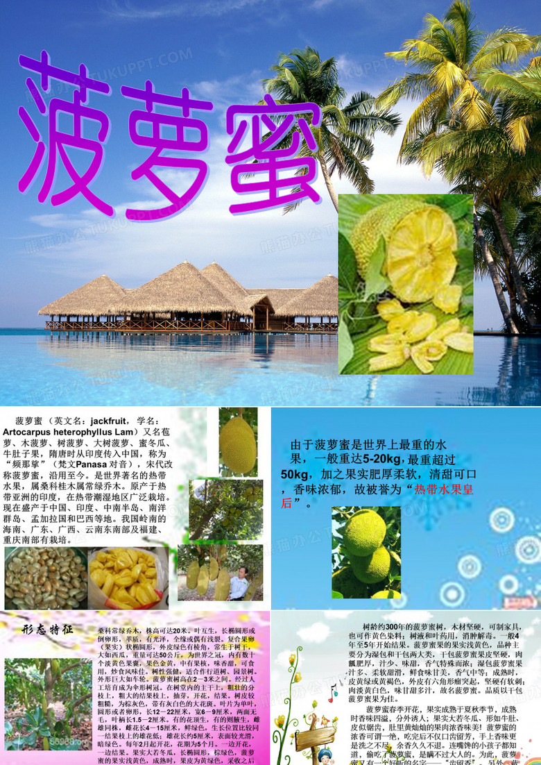 菠萝蜜