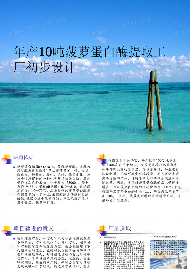 菠萝蛋白酶