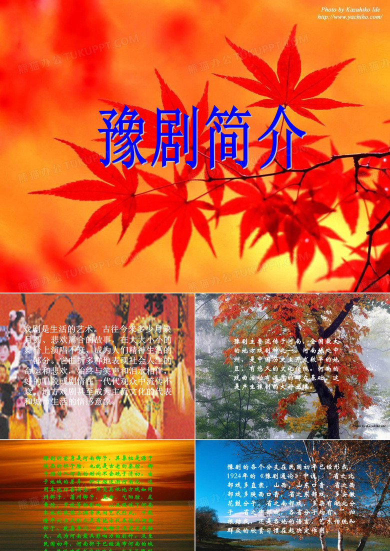 豫剧简介.ppt