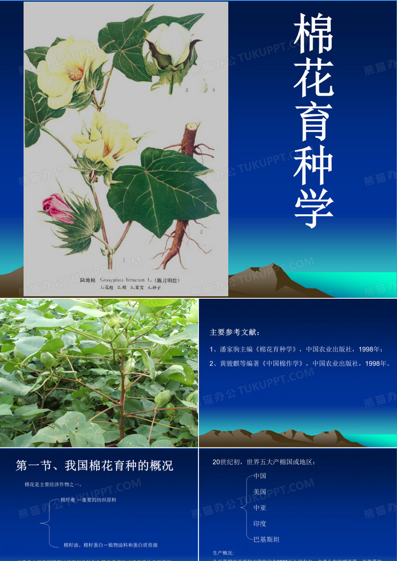 棉花育种学