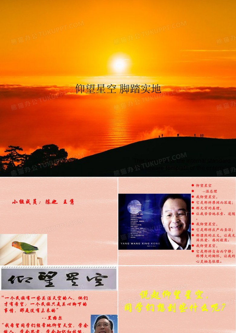 《仰望星空 脚踏实地》教案