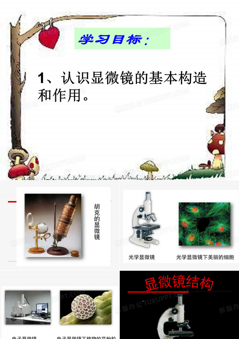 显微镜的结构