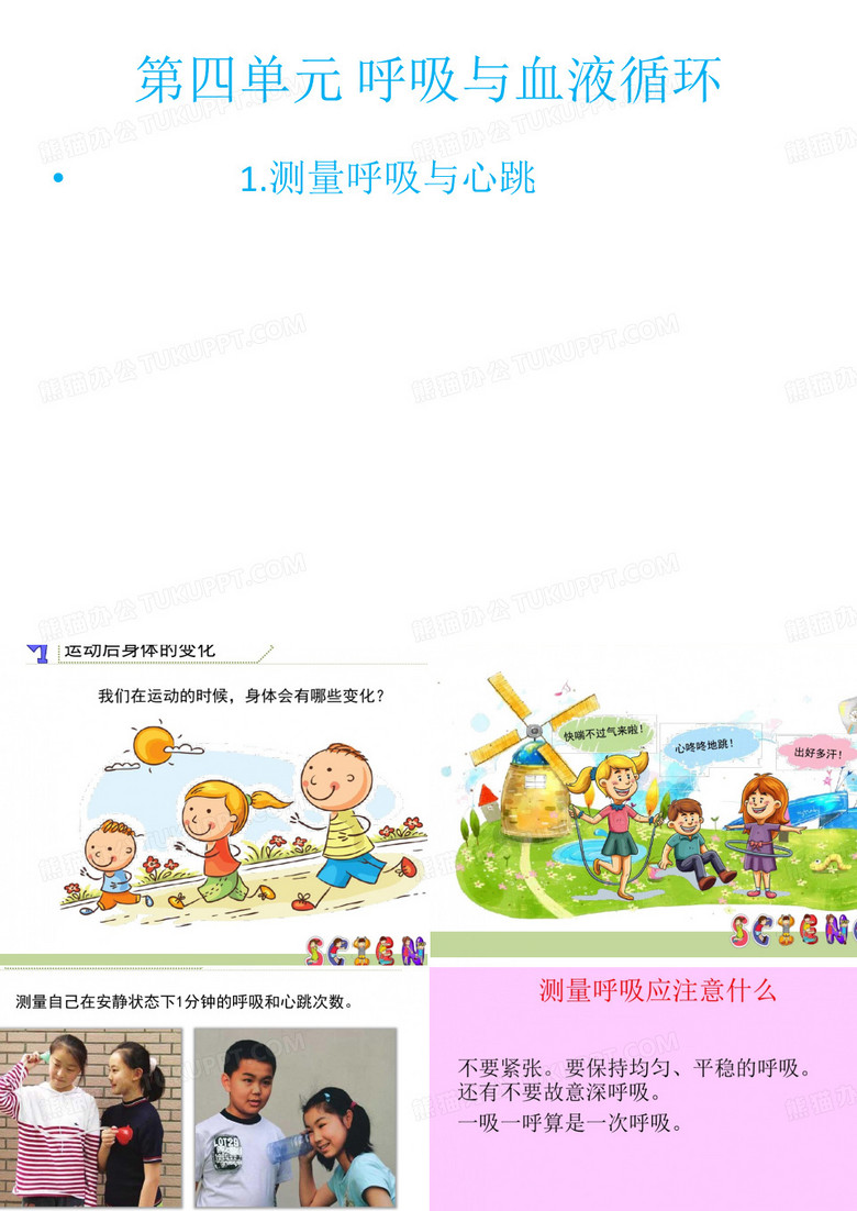测量呼吸与心跳