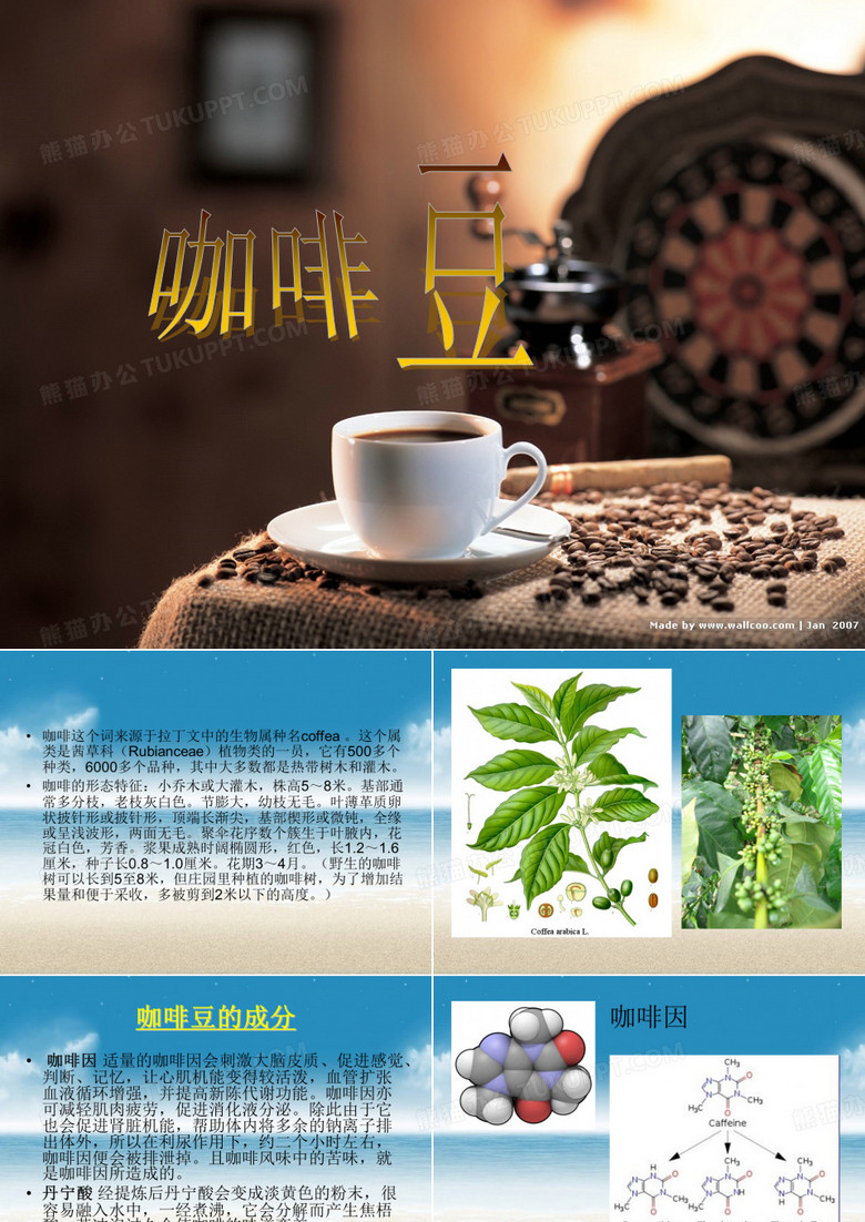 咖啡豆