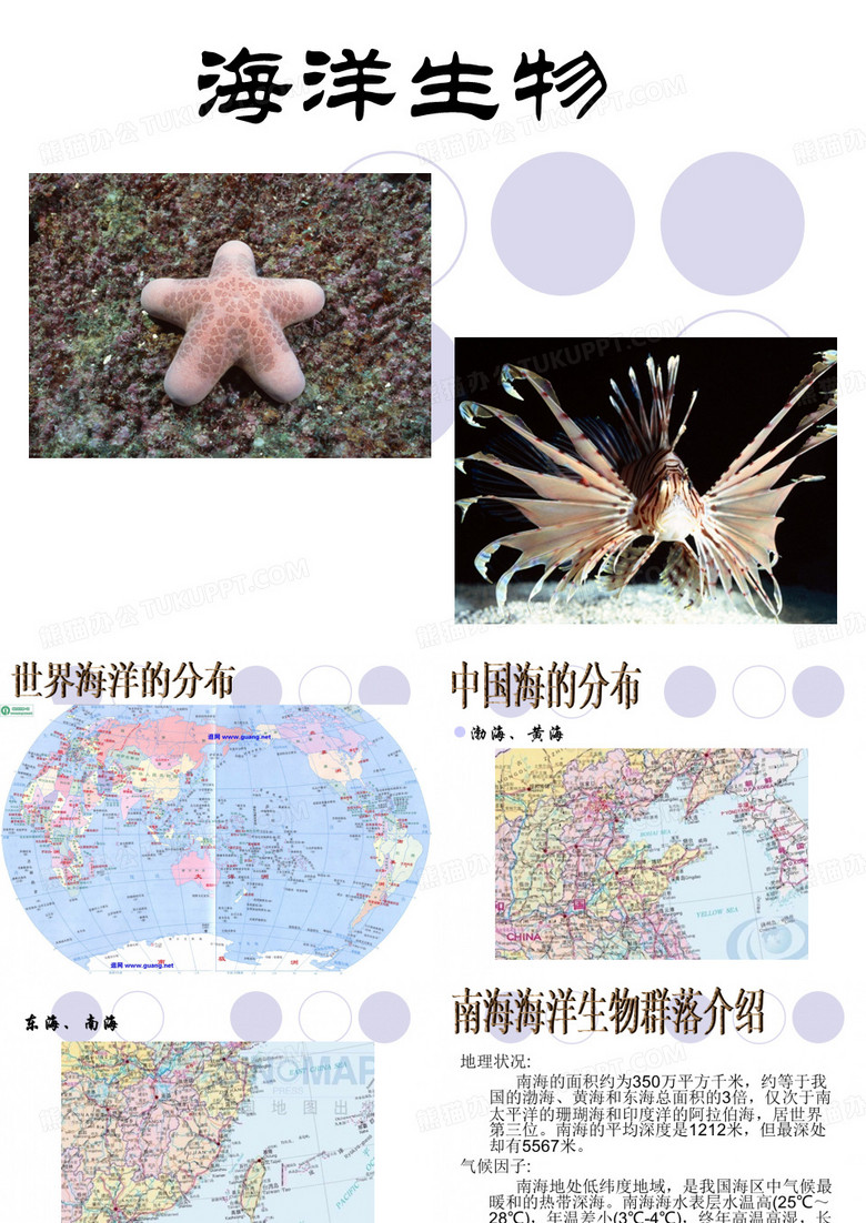海洋生物