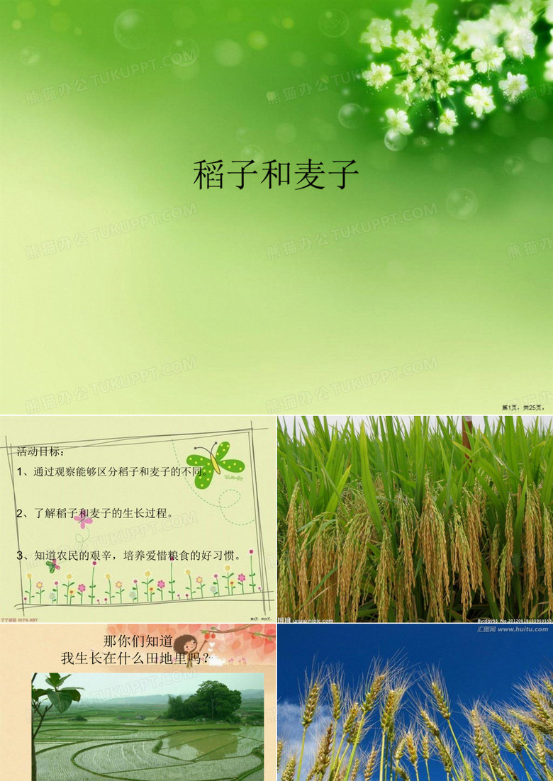 稻子和麦子