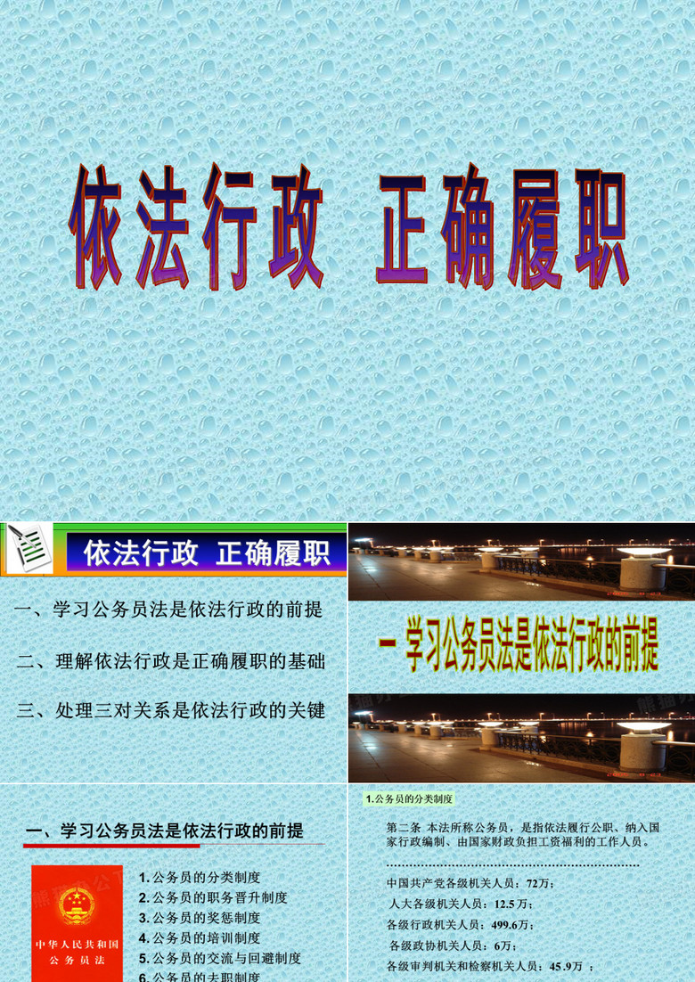 依法行政 正确履职