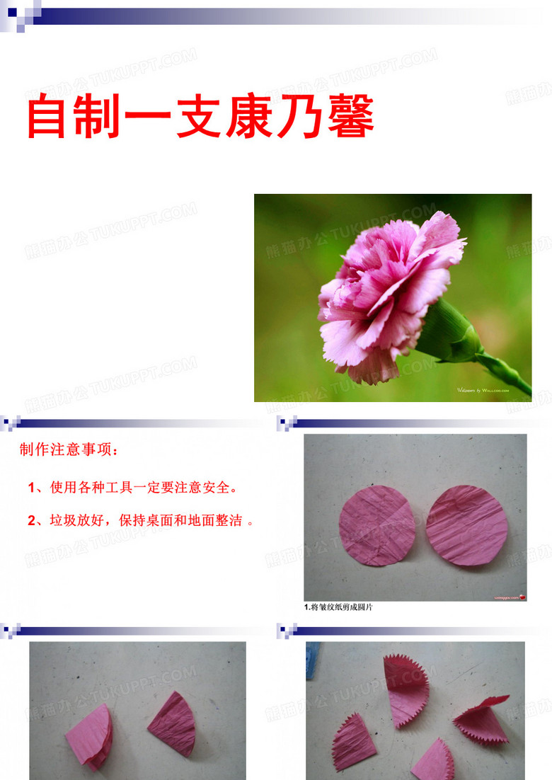 纸花---康乃馨