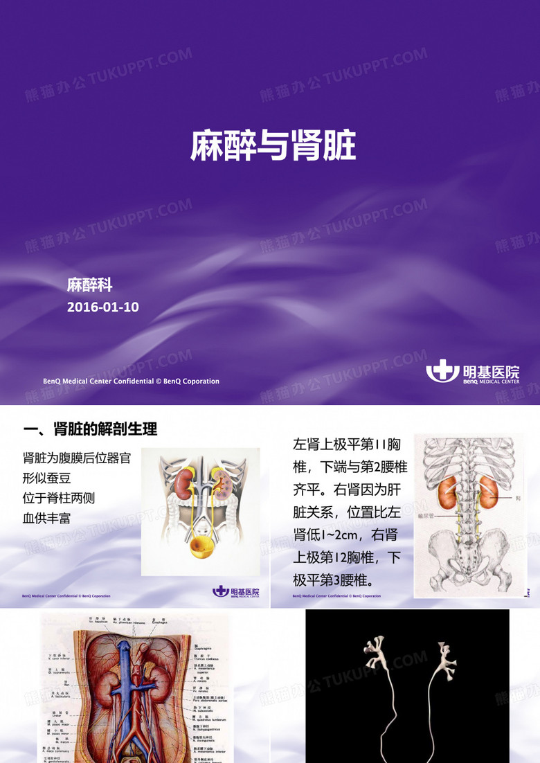 麻醉与肾脏