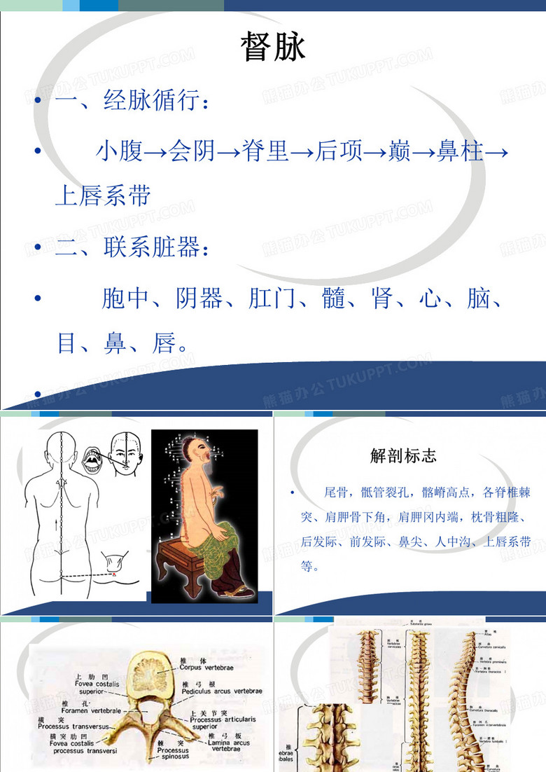 针灸推拿 督脉穴