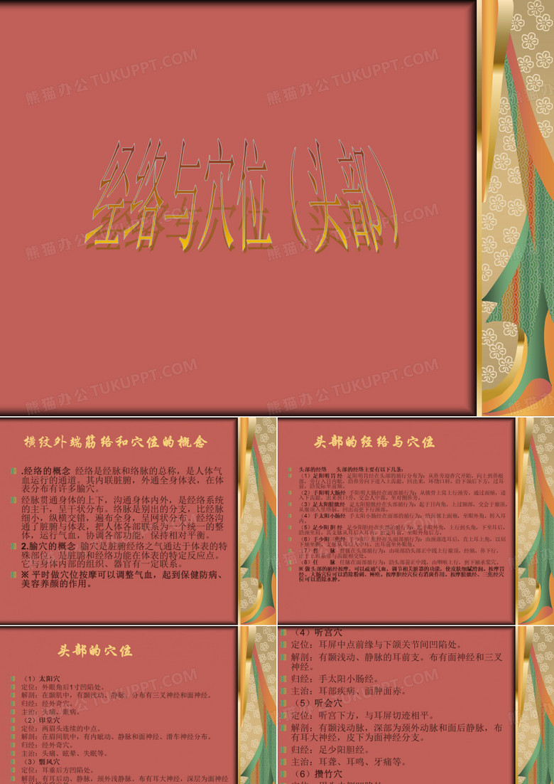 经络穴位
