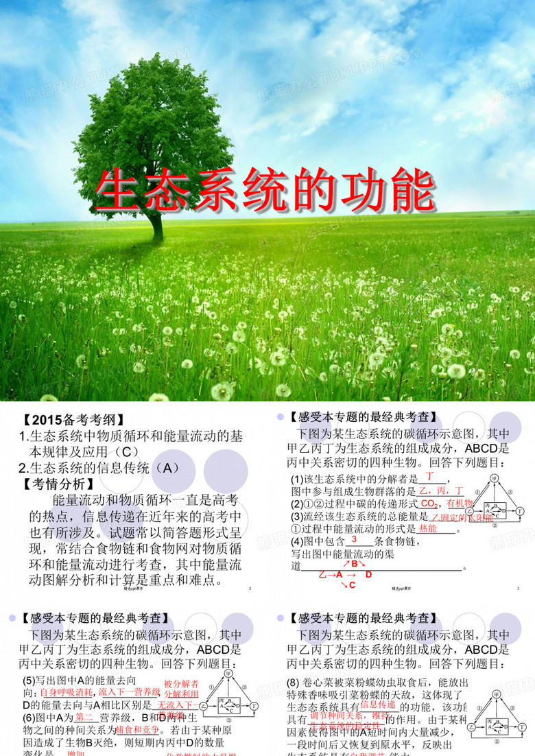 生态系统的功能