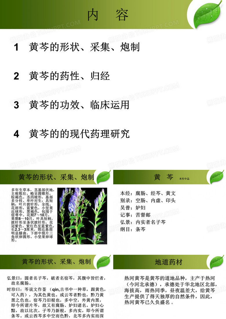 中医中药中药黄芩
