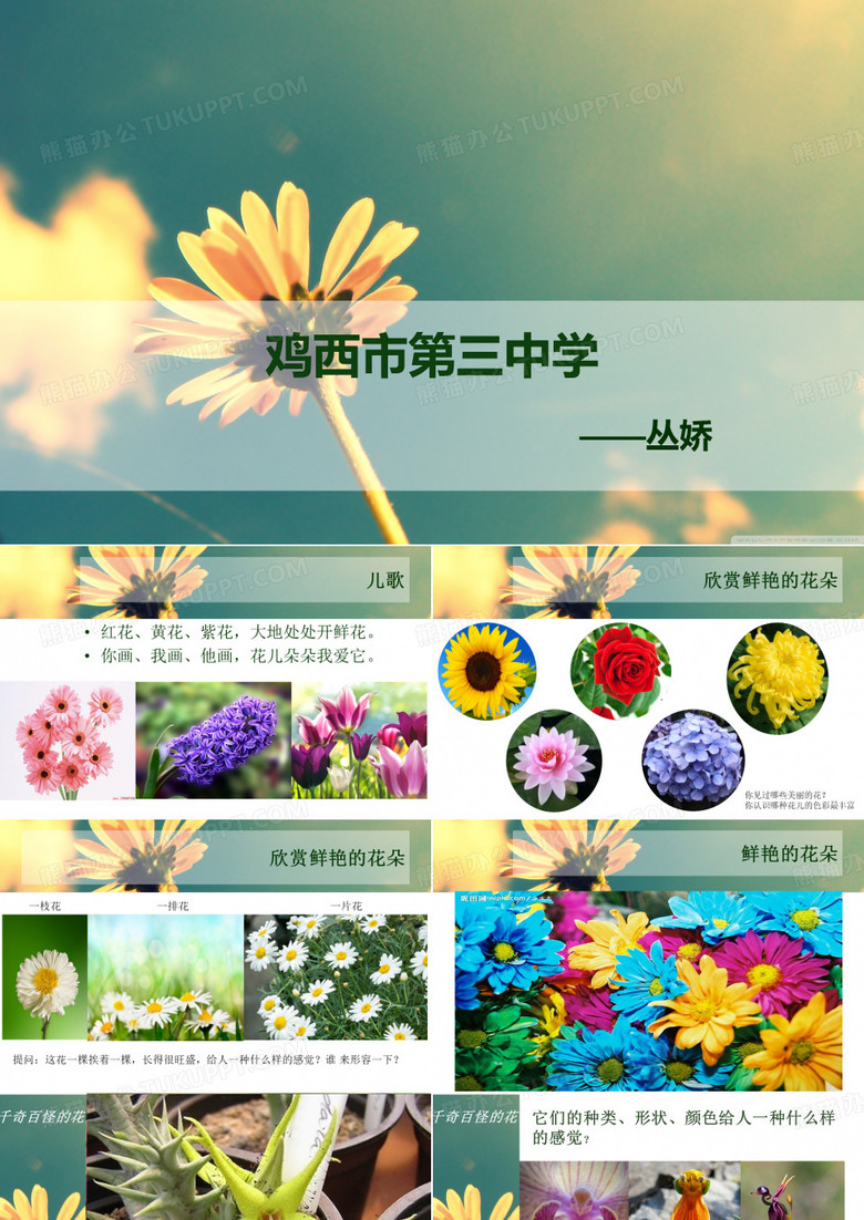 鲜艳的花朵